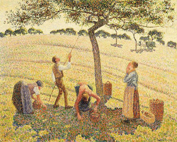 Apple harvest at Eragny, Camille Pissarro